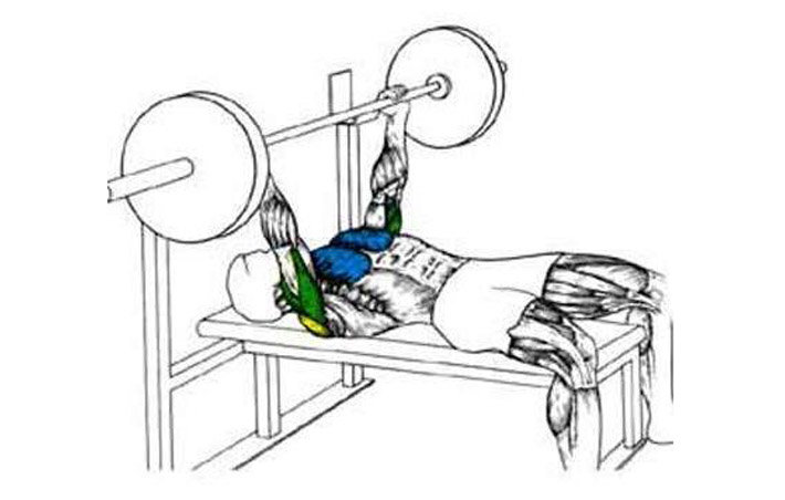 fitnes-zdravo-bench-press-m